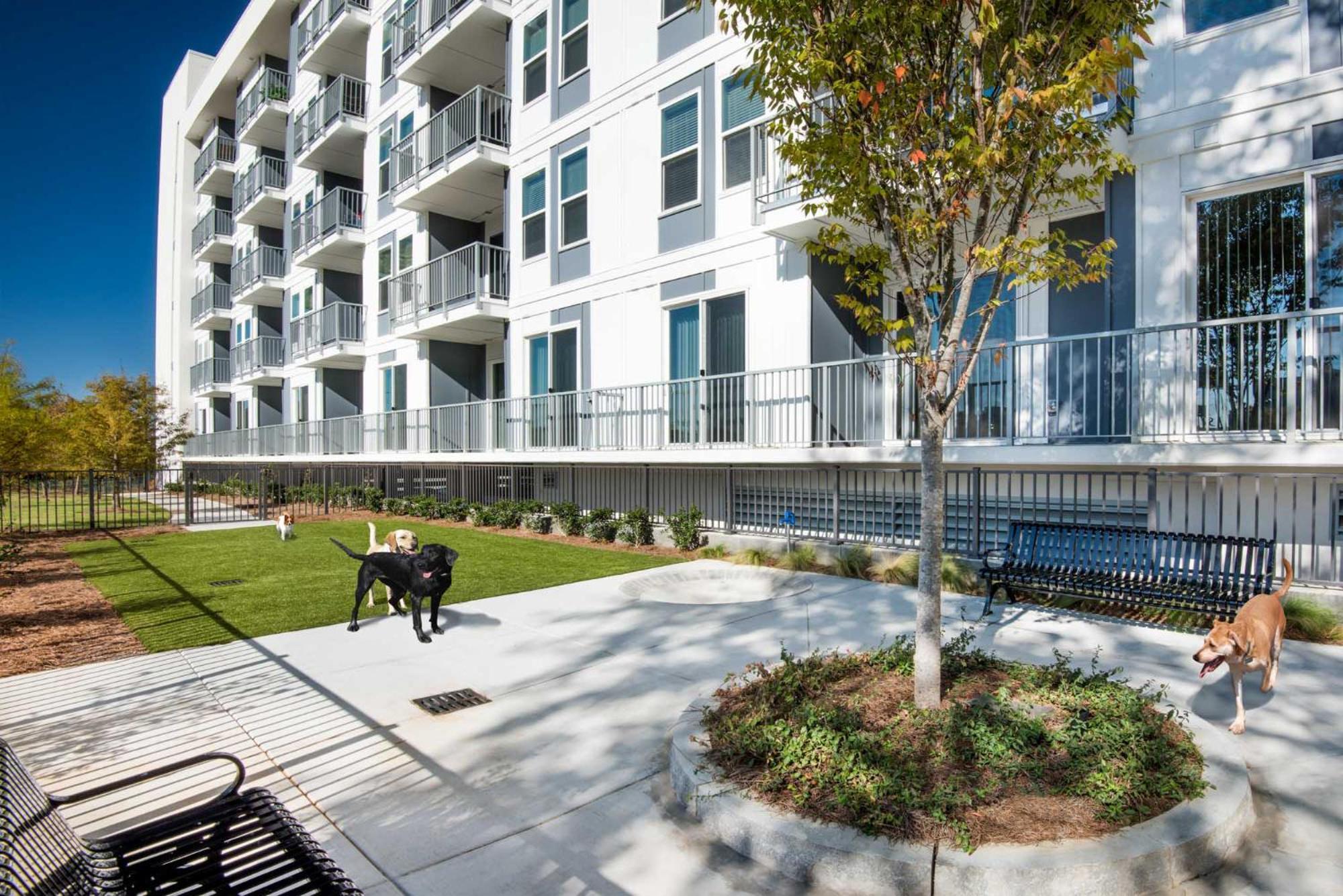 Spectacular Apartments By Bca Furnished Apartments Atlanta Camera foto